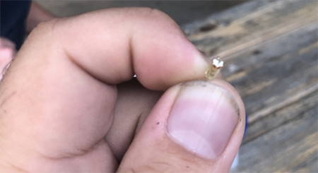 Treasure Hunting Diamond